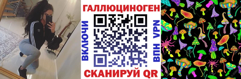 маркетплейс как зайти  Чёрмоз  Псилоцибиновые грибы Cubensis 